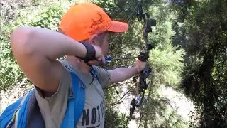 Shooting Bows at the Canterbury Archers Archery Club