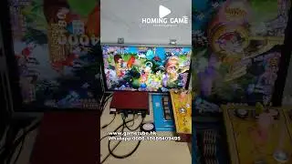 USA Hot Sale Birds Frenzy Fishing Game Machine | High Profit Fish Arcade Table by HomingGame