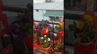 BEAUTIFUL Planters From Waste in 0 Rs #shorts #howtoreuse #bestoutofwaste #trending #diy #plastic