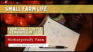 Small Farm Life | Farm Goals For The Remainder of 2020 | Our To Do List