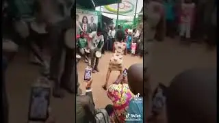 This dance is a ritual at African weddings #mapouka #dance #africa #twerk