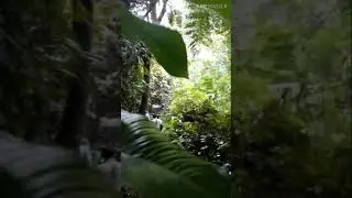 Perjalanan Singkat Tak Berbatas