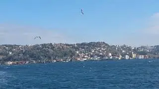 DEEP SENSE OF MELODİES/Deepest feelings.Chill out and  lofi melodies,beats combined with sea,relax