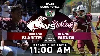 EN VIVO: BURROS BLANCOS IPN vs BÚHOS GUINDA | Categoría INTERMEDIA ONEFA 2025 | MÁXIMO AVANCE