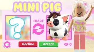 Trade for a MINI PIG in Adopt Me!? *EXOTICS*