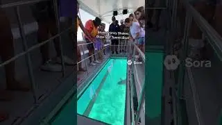 😱 СТЕКЛО РАЗБИВАЕТСЯ! 🦈 Акулы НАПАДАЮТ на туристический стеклянный туннель!