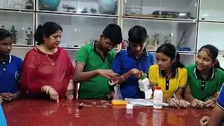 Practical based on law of conservation of mass for Class IX students 