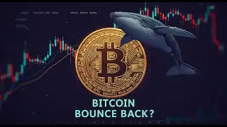 Вернётся ли биткоин к прежнему уровню?