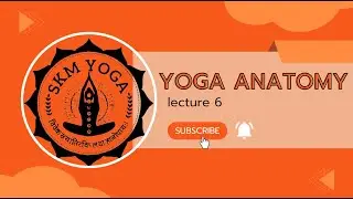 YOGA ANATOMY LECTURE 6 | DR SHIVAM MISHRA YOGA ANATOMY