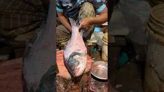 Amazing Catla Carp Fish Cutting Skills In Bangladesh Local Fish Market#48shorts
