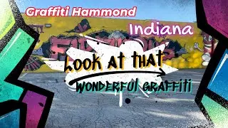 Beautiful Graffiti Of Hammond Indiana #graffiti #art