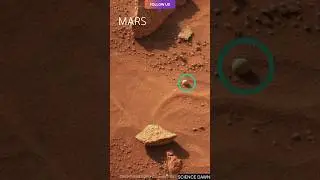 Вид на Марс с марсохода Curiosity @sciencedawn