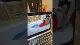 SECRET CAMERA FOOTAGE 😱
