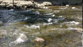Google Pixel XL 4K Video