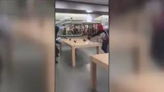 Another Apple Store theft caught on tape