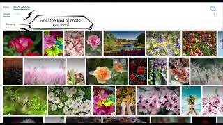 FEB CLOUD SUITE - How to Edit Photos