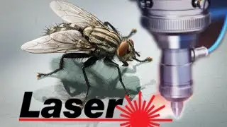kill fly with laser cnc