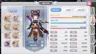 ROX - Hyper Novice Shadow Demon Build and DPS test