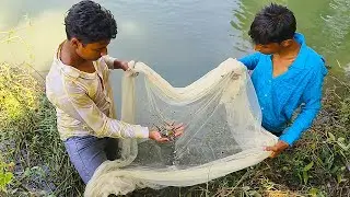 Village Boys 🔥 Amazing Fishing Technique 😯