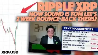 Ripple XRP: падение криптовалюты продолжается, теория предполагает отскок через 2 недели &mdash; наскол...