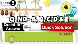 Chapter 2 | Plants | DAV Class 5 Science | Question Answer 🔥🔥🔥