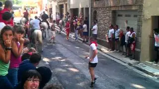 Lacher de toros dans les rues lors d'une féria. 2 gros tampon.