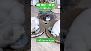 Electric Pet Massager | Cat massager  #shorts #cat #cats #catshorts