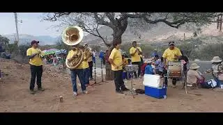 Polca bailable, Banda san francisco de asis xichu guanajuato
