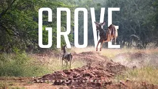 Grove Photography Competition 📸🍃 | Highlights 