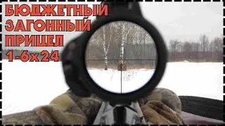 Бюджетный Загонный Оптический Прицел Ohhunt FFP 1-6x24 IR