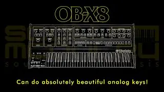 Oberheim OB-X8 - SM Lush Analog Keys