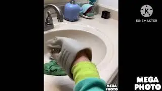 Shark puppet drops the soap best ending ￼