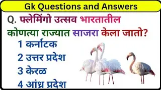 GK MARATHI || जनरल नॉलेज || फ्लेमिंगो उत्सव भारतातील कोणत्या राज्यात साजरा केला जातो? #gk #gkquiz 