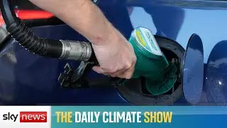 Will high petrol prices trigger a green revolution?