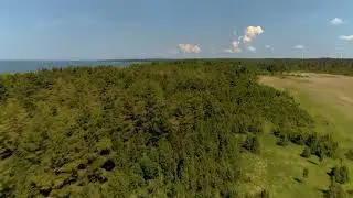 The nature of Virtsu, Estonia