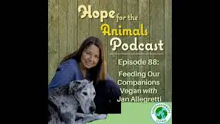 Feeding our Companions Vegan with Jan Allegretti