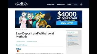 CoolCat Casino Review