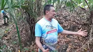 7&ordf; Expedi&ccedil;&atilde;o IDERB 2021