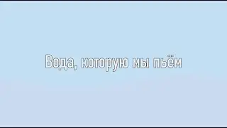 Вода, которую мы пьём / The water we drink