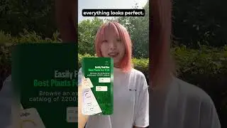 Landscaping Made Simple