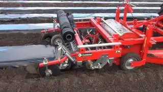 AL-S14 PLUS POUR FRAISES EN BELGIQUE