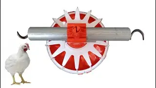 Automated broiler feeding line feeder pan