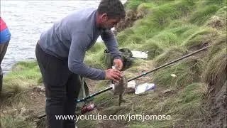 Rock fishing / Pesca nas rochas / الصيد الصخور / Pesca Sargo / Pesca saragui sulla roccia