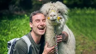 Cuddling an Alpaca Was Harder Than I Thought | Tick-Off Tuesday #4