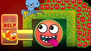 Save the Fish🐠 vs Hide Ball ⚽ All Max Levels!  Ep 99
