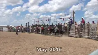 #335 Boot Licker  - The Outlaw Bucker