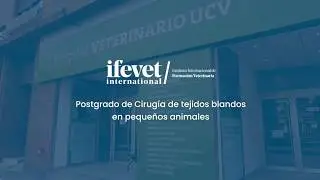 Postgrado en Cirug&iacute;a Tejidos Blandos | Diploma de Experto Universitario (PGCert. ST Surg. ifevet)