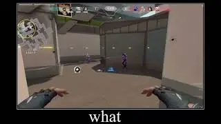 Jett double dash bug  BUGLORANT