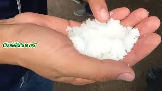 Sal solar