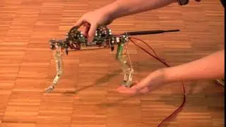 Cheetah-cub leg design, spring loaded pantograph legs